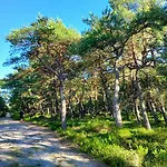 Ferienhaus Greyowka Dom Kryty Strzecha W Gardna Park *