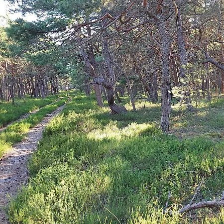 펜션 Greyowka Dom Kryty Strzecha W Gardna Park