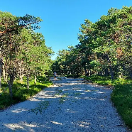 Greyowka Dom Kryty Strzecha W Gardna Park