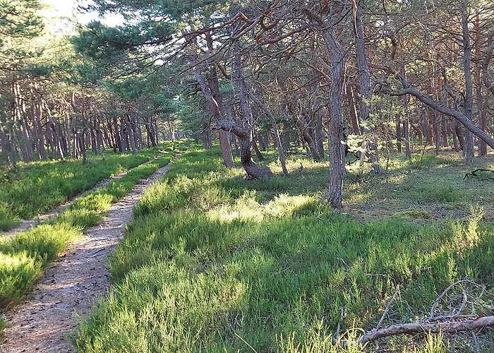 Ferienhaus Greyowka Dom Kryty Strzecha W Gardna Park