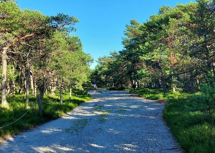 Greyowka Dom Kryty Strzecha W Gardna Park