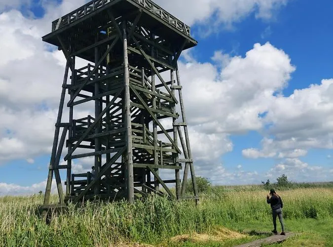 Дом отдыха Greyowka Dom Kryty Strzecha W Gardna Park Czysta