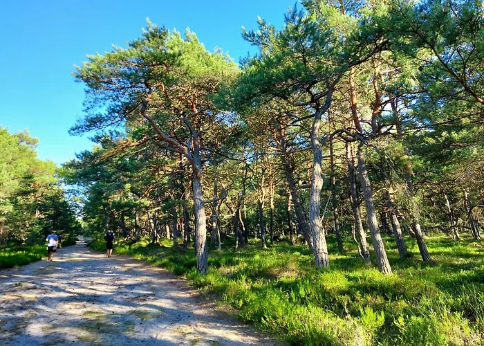 Ferienhaus Greyowka Dom Kryty Strzecha W Gardna Park *